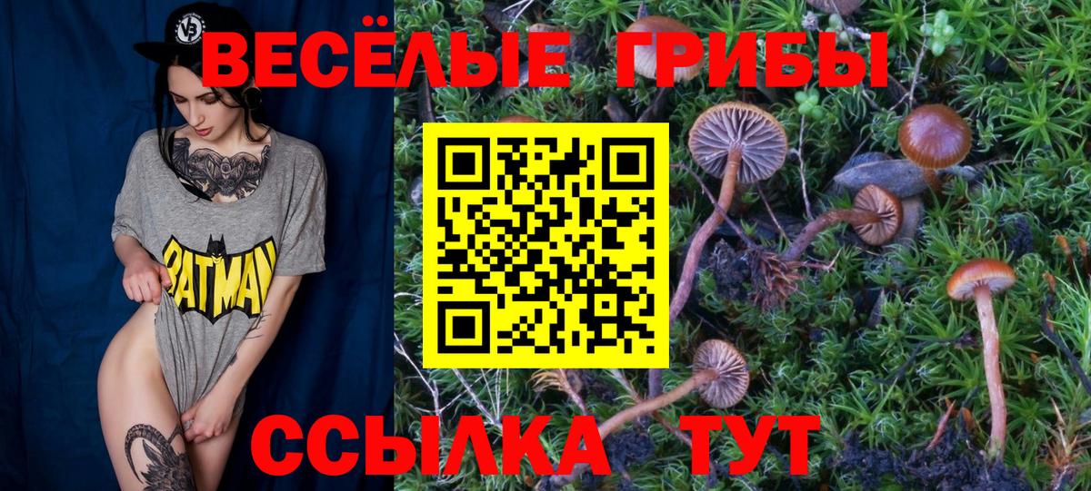 где купить   Вход с VPN  Киров  Псилоцибиновые грибы Psilocybe 